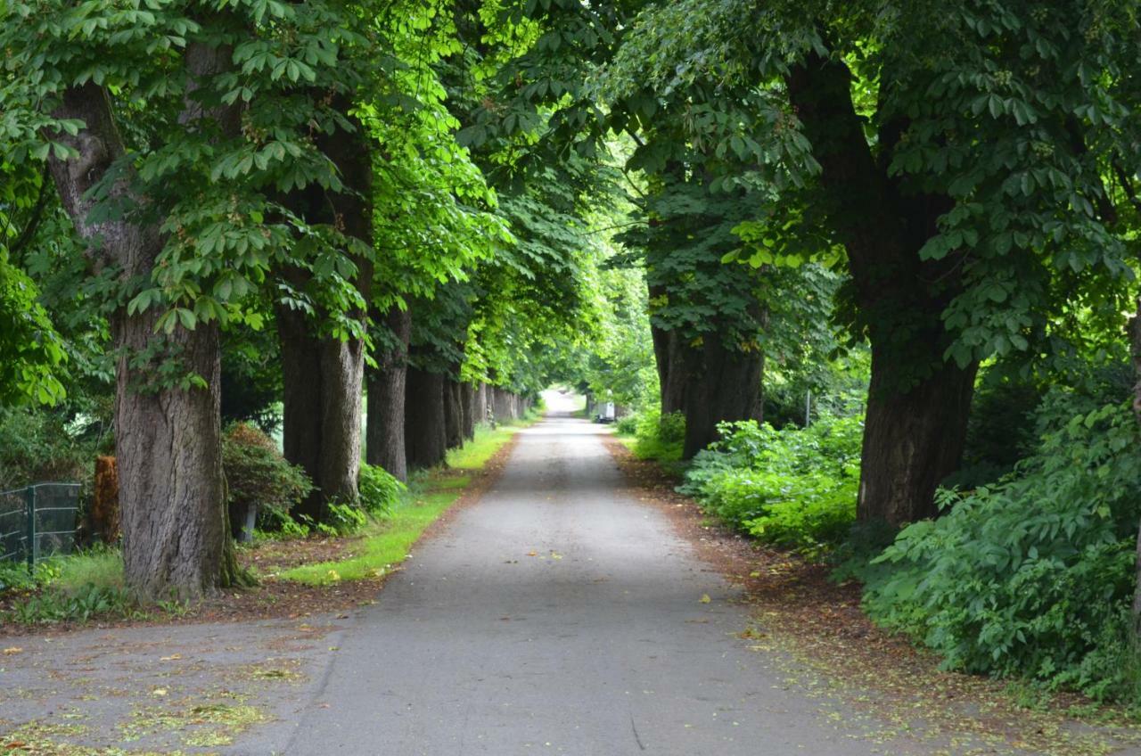 Wohnung Am Weserradweg Deesberg Exterior photo